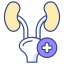 Fancy-Icon
